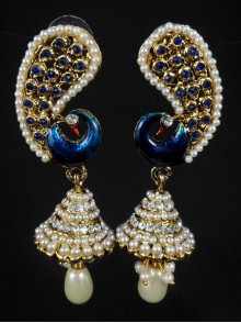 Fashion Earrings